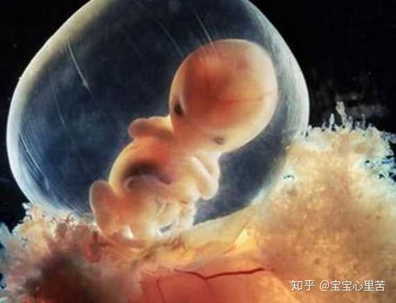 2023哈尔滨供精试管婴儿医院有哪些,哈尔滨市第二医院生殖中心有哪些优势？