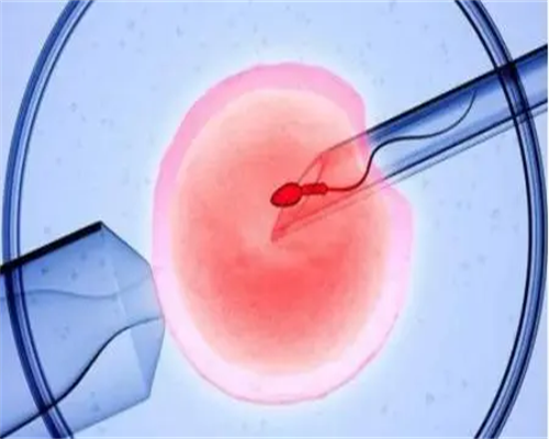 哈尔滨试管助孕解析：双胞胎男婴几率、费用与成功关键