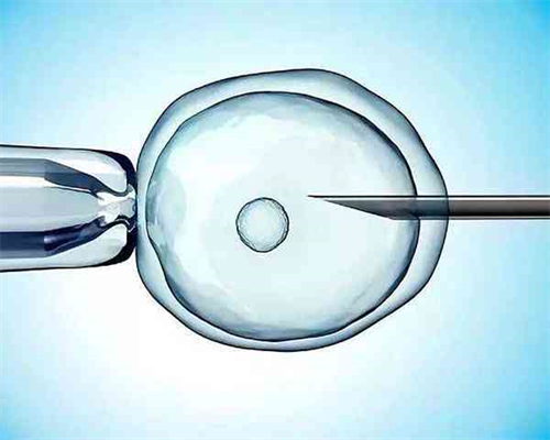 <strong>第三代试管婴儿费用明细与助孕策略</strong>