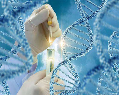 胎儿肠管回声增强是什么意思