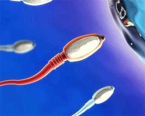 北京试管助孕：深入解析试管婴儿的优缺点与辅助生殖考量