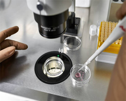 2026
哈尔滨三代试管助孕生宝宝费用明细，不同医院费用收费差异大