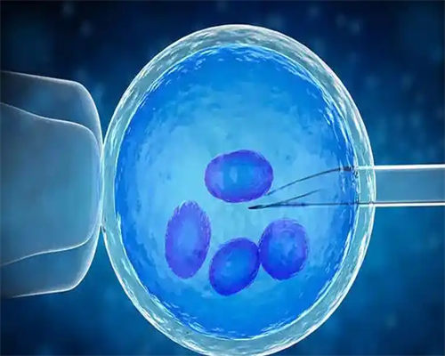 <strong>上海试管婴儿机构排名前十名有哪些医院好一点？</strong>