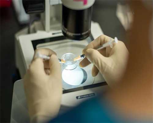 哈尔滨助孕指南：第三代试管婴儿费用、代怀流程与助孕医院选择