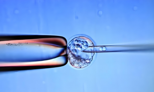 哈尔滨医大一院做试管单次移植费用多少?