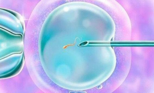 哈尔滨三代试管婴儿能选择龙凤胎吗
