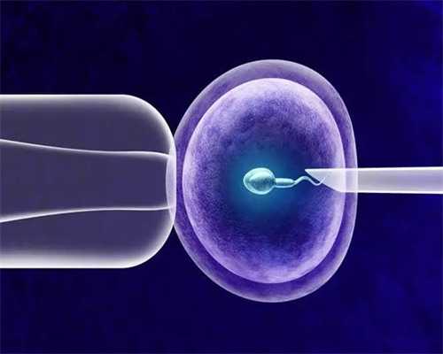 哈尔滨试管助孕优选指南：辅助生殖医院排名、费用与成功率全解析