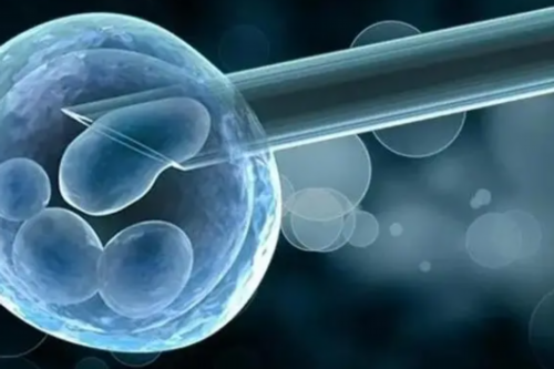 <strong>荷兰乳牛奶粉 荷兰乳牛全脂奶粉为啥便宜</strong>