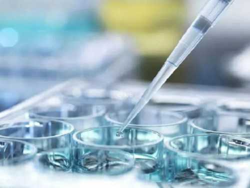 <strong>影响胎儿大脑发育的因素,胎儿大脑发育关键期</strong>