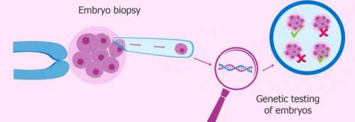 哈尔滨试管助孕与辅助生殖：孕期健康管理及生育难题解决方案