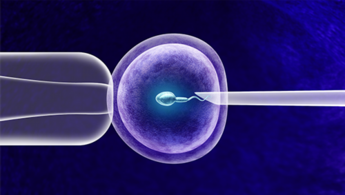 正规代怀费用明细_代怀小孩宝宝,广西供卵代怀生子需要多少钱?附2026
广西试管