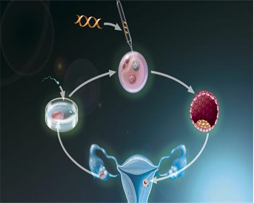 辅助生殖优选：2026试管助孕机构实力解析与专家口碑