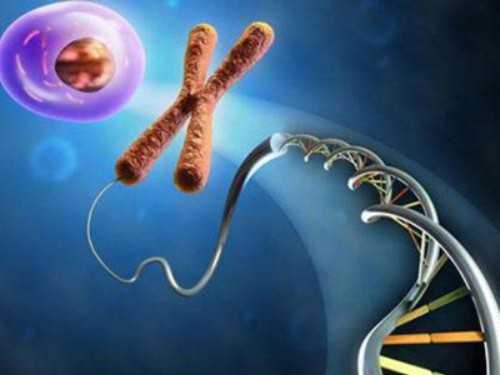 哈尔滨试管助孕：精子活力低能做试管吗？双胞胎成活率、子宫内膜薄调理全解析