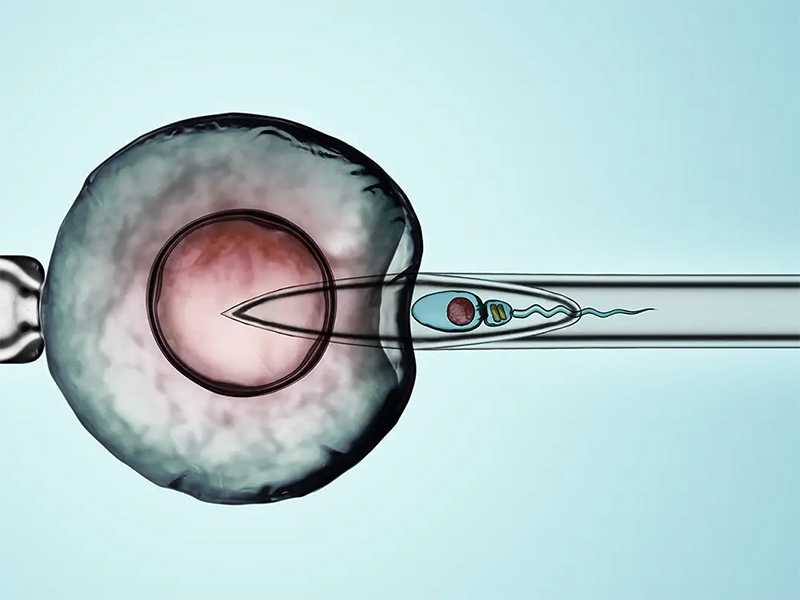 哈尔滨代孕再度引发争议_两步移植法移植两个胚胎成双胞胎的多吗？_83694_v78