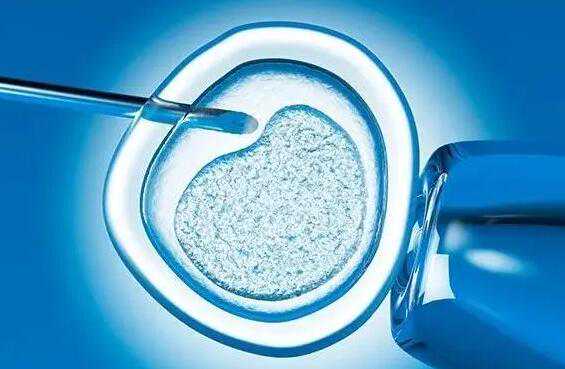 哈尔滨做代怀法律允许吗_q37J1_g08of_05Y1E_两步移植法移植两个胚胎成双胞胎的多