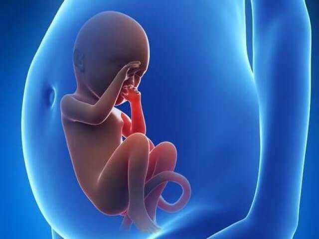 代怀孕陆仁嘉_有哪些代怀机构_试管婴儿：子宫内膜过薄怎么生育？可以做试管