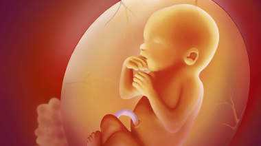 哈尔滨代孕能否生男孩_子宫肌瘤的流产率高1/4，美国试管如何确保成功孕育？