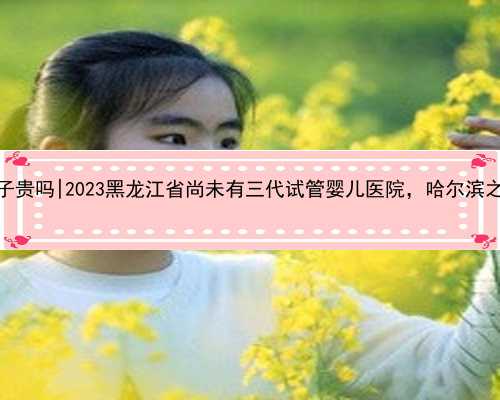 哈尔滨代生儿子贵吗|2023黑龙江省尚未有三代试管婴儿医院，哈尔滨之外的就医